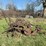2-bottom-chain-lift-plow-image-4