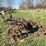oliver-three-blade-pull-type-disk-plow-image-6