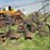 international-14-image-3