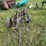 #2651-•-john-deere-(3)-bottom-plow-image-14