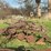 three-bottom-plow-image-5