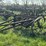ihc-7ft-field-cultivator-image-7