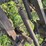 three-bottom-plow-image-9