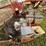 case-ih-400-image-14