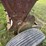 john-deere-8-image-33