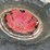 1946-case-ih-farmall-b-image-20