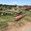 john-deere-220-image-4