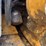 caterpillar-226b3-image-45