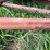 #2639-•-running-gear-with-guard-rail-pieces-image-11