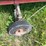 #2653-•-shell-lake-15'-boat-and-motor-(for-parts)-image-5
