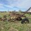 massey-ferguson-12-image-2