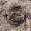unknown-unknown-image-4