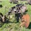 john-deere-disc-plow-image-4