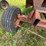#2644-•-kelly-gravity-box-on-running-gear-image-17