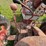 #2567-•-mccormick-farmall-560-gas-tractor-image-19