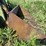 owatonna-330-image-17