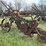 case-three-bottom-14”-pull-type-plow-image-5