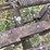 case-three-bottom-14”-pull-type-plow-image-10