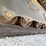 2022-bobcat-t76-image-39