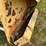 new-holland-974-image-17