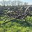 ihc-8ft-field-cultivator-image-7