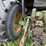 john-deere-4450-image-18