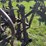 oliver-four-bottom-plow-image-19