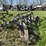 oliver-heavy-duty-3-blade-pull-type-disk-plow-image-3