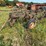 #2651-•-john-deere-(3)-bottom-plow-image-2