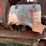 huber-pull-type-combine-image-28
