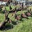 oliver-four-bottom-plow-image-3