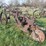 ihc-3-bottom-plow-image-7