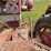 #2567-•-mccormick-farmall-560-gas-tractor-image-22
