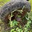 #2651-•-john-deere-(3)-bottom-plow-image-21
