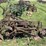 john-deere-disc-plow-image-8