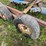 #2658-•-tandem-axle-28'-trailer-frame-image-6