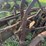 two-bottom-plow-image-13