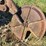 oliver-three-blade-pull-type-disk-plow-image-7
