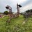 #2621-•-wil-rich-27'-field-cultivator-image-2