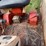 #2566-•-case-730-gas-wide-front-tractor-image-24