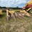 new-holland-974-image-4