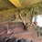 reo-truck---has-title!-image-79