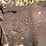 oliver-two-bottom-horse-drawn-walking-plow-with-no.-3-bottoms-image-6