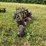 #2651-•-john-deere-(3)-bottom-plow-image-18