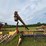 #2623-•-8"-x-40'-grain-auger-image-7