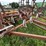 #2621-•-wil-rich-27'-field-cultivator-image-34