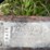 #2645-•-krause-10'-disc-image-14