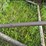 #2623-•-8"-x-40'-grain-auger-image-18