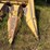 new-holland-974-image-8