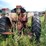 #2566-•-case-730-gas-wide-front-tractor-image-5